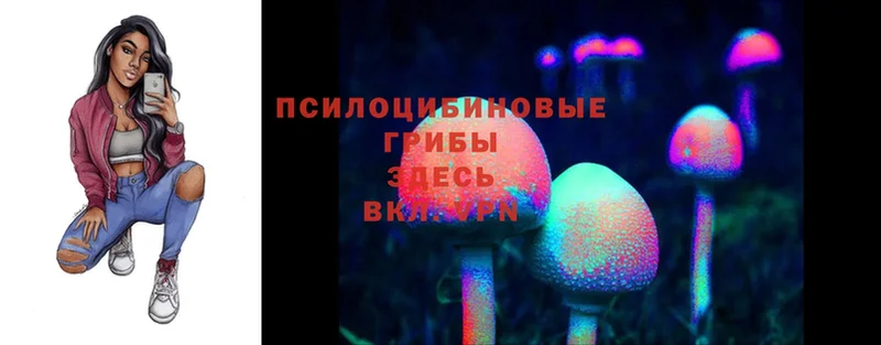 Галлюциногенные грибы Magic Shrooms  Нижняя Тура 